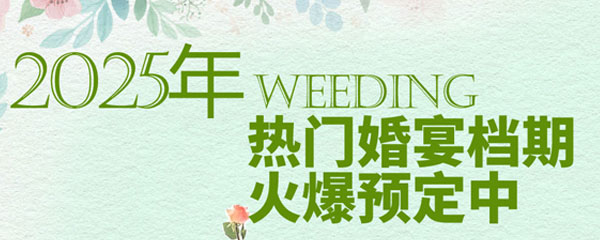 全网